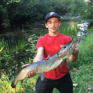 Meet your Posher, Bryce